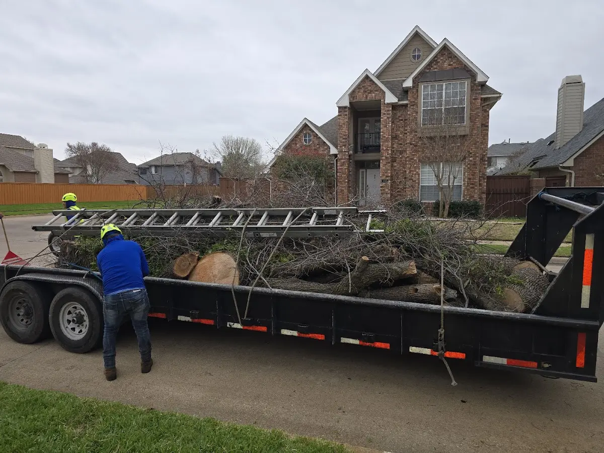 Expert Tree Fertilization with proper safety equipment in Eagar